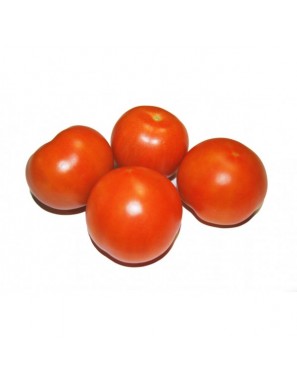 TOMATE BOLA X KG
