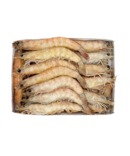 LANGOSTINO CRUDO 10/20 SALVAJE.X.KG