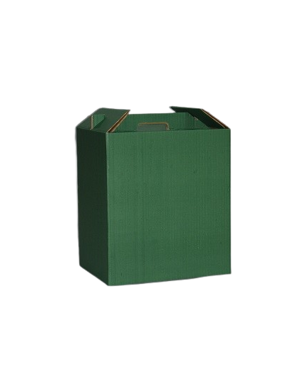 CAJA CARTON VERDE 12 BOTELLAS 785X356X113 UD