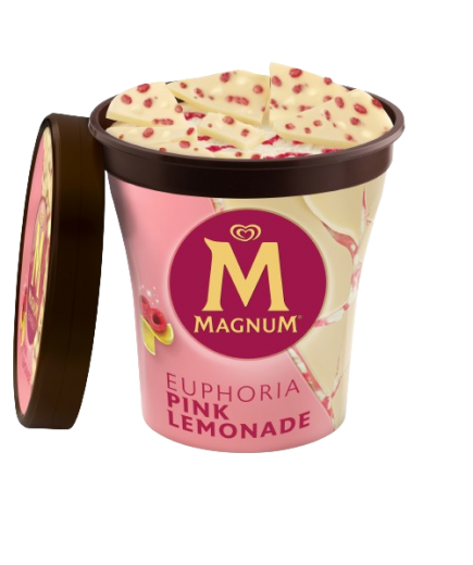HELADO FRIGO TARRINA MAGNUM EUPHORIA 440ML