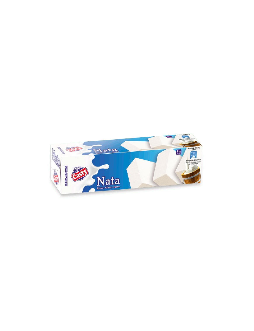 HELADO CASTY CORTE NATA B/1 L