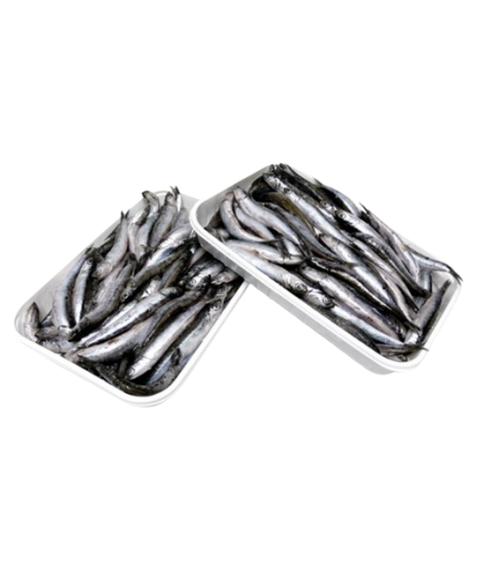 BOQUERON CONGELADOS "G/M"  DELFIN BANDEJA 1 KG