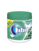 CHICLE ORBIT BOX EUCALIPTO 46 UD P/64 GR