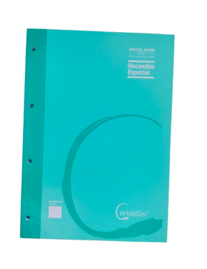 PP PAPEL RECAMBIO A/4 90GR CUADRICULA 5MM P/80 UD