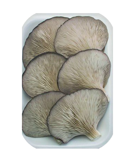 SETAS CULTIVADAS OJOO BELINDA B/200 GR