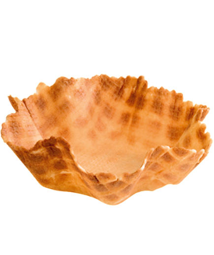 TULIPA GRANDE 110 MM TARBAL C/80 UD