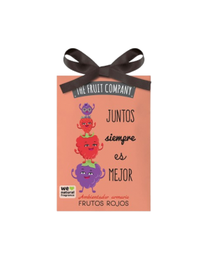 AMBIENTADOR TFC ARMARIO FRUTOS ROJOS X UD