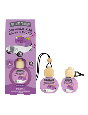 AMBIENTADOR TFC COCHE MORAS B/6,5ML
