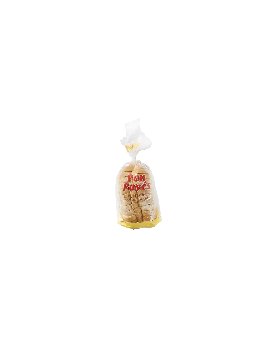 PAN RUIPAN  PAYES  B/490 GR