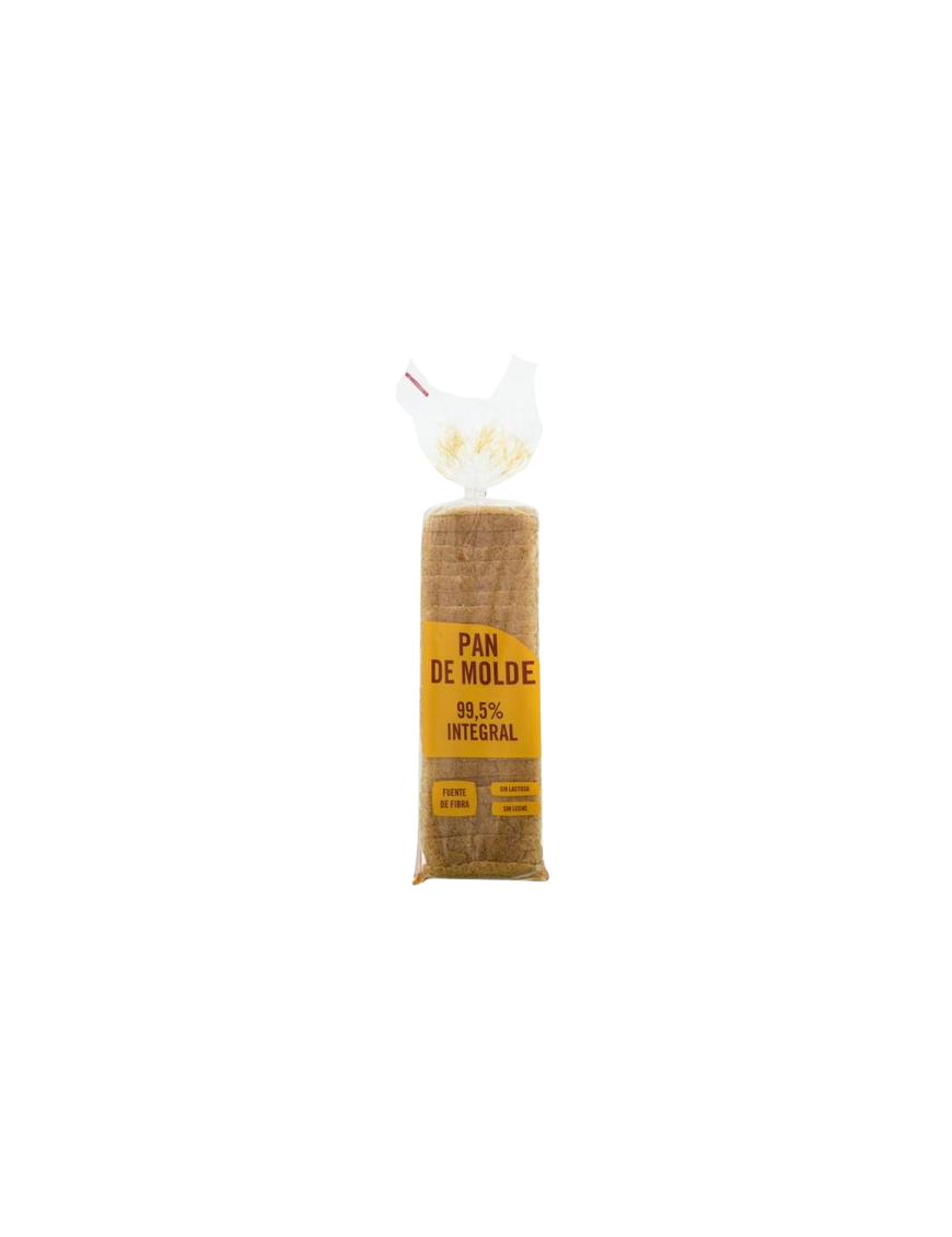 PAN RUIPAN MOLDE INTEGRAL B/500 GR