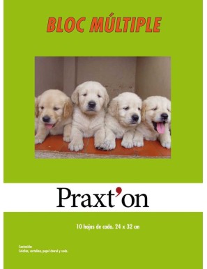PP PAPEL MANUALIDADES PRAXTON SURTI 24X32 P/40 UD