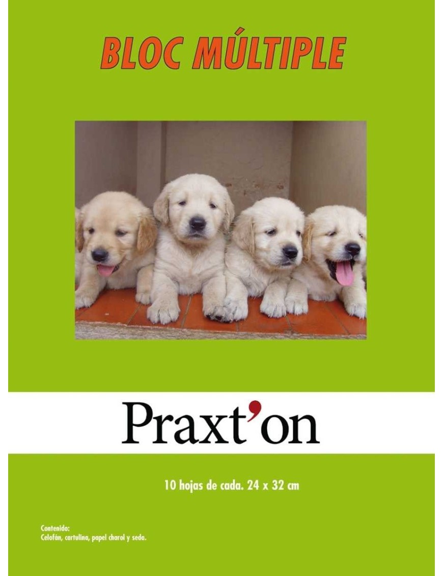 PP PAPEL MANUALIDADES PRAXTON SURTI 24X32 P/40 UD