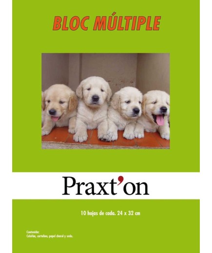 PP PAPEL MANUALIDADES PRAXTON SURTI 24X32 P/40 UD