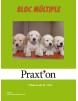 PP PAPEL MANUALIDADES PRAXTON SURTI 24X32 P/40 UD