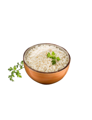 ARROZ BLANCO CONGELADO C.NAVARRA (6X167) B/1 KG