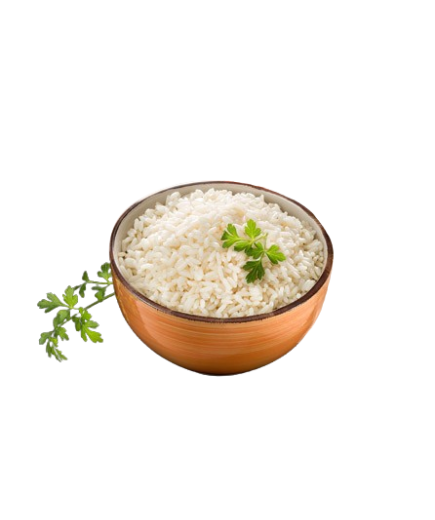 ARROZ BLANCO CONGELADO C.NAVARRA (6X167) B/1 KG