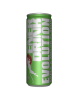 BEBIDA ENERGETICA ENERDRINK APPLE/MELON B/250ML