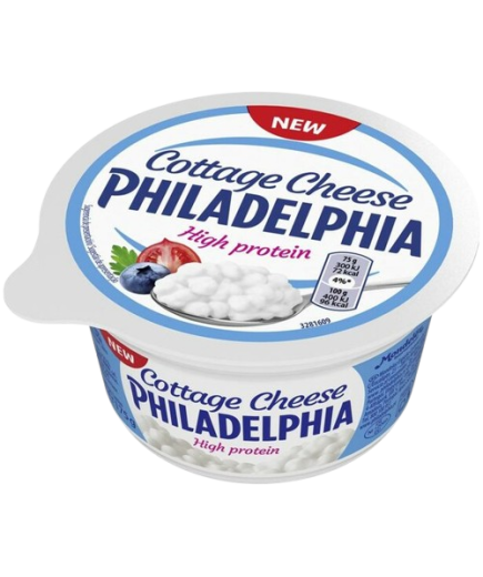 QUESO PHILADELPHIA COTTAGE CHESSE TARRINA 175 GR