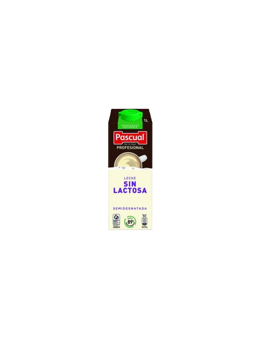 LECHE PASCUAL PROFESIONAL SIN LACTOSA/SEMI B/1L