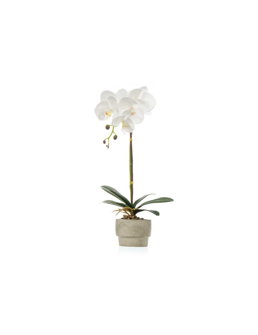 MACETA ORQUIDEA BLANCA CEMENTO UNIDAD