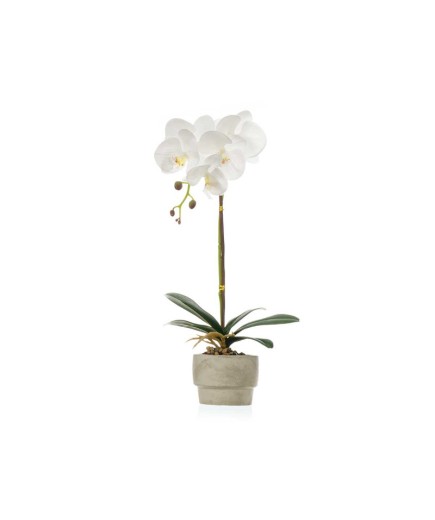 MACETA ORQUIDEA BLANCA CEMENTO UNIDAD