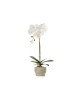 MACETA ORQUIDEA BLANCA CEMENTO UNIDAD
