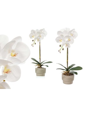 MACETA ORQUIDEA BLANCA CEMENTO UNIDAD