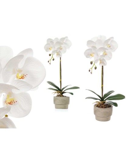 MACETA ORQUIDEA BLANCA CEMENTO UNIDAD