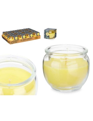 VELA AROMATICA IBERGARDEN CITRONELA UNIDAD