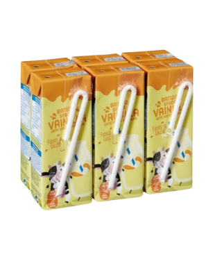 BATIDO VAINILLA GOURMET 200 ML PACK-6 UD