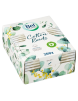 BASTONCILLOS ALGODÓN BEL  F&B CAJA 200 UD
