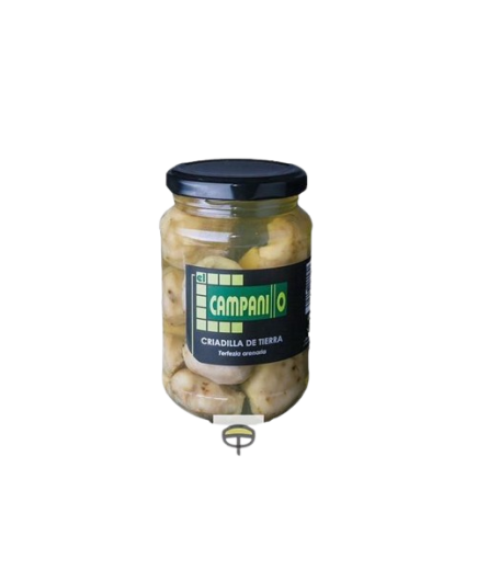 CRIADILLA DE TIERRA EL CAMPANILLO T/CRISTAL 560GRR