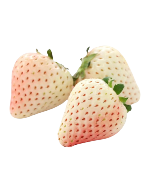 FRESA OJO BLANCA X KG
