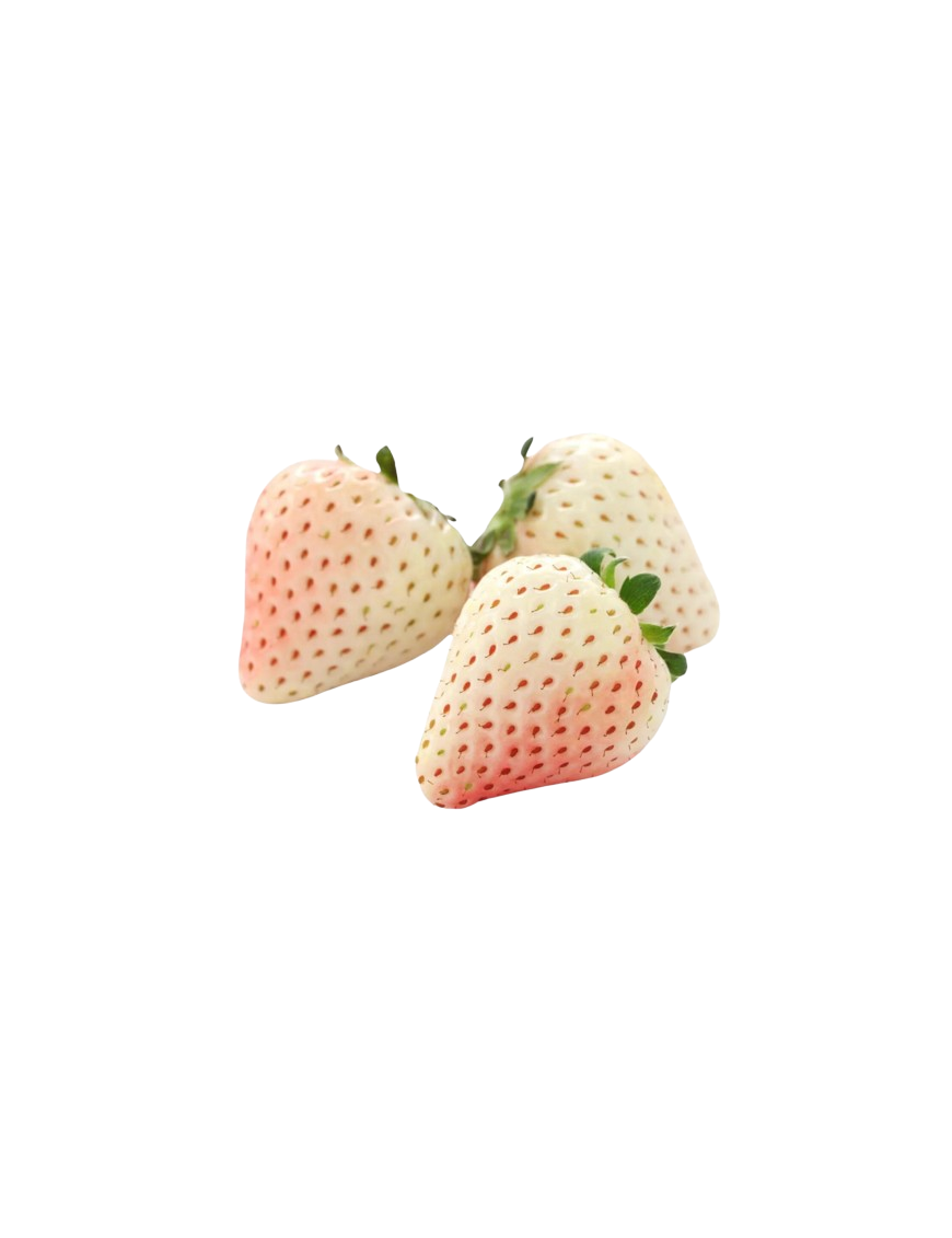 FRESA OJO BLANCA X KG
