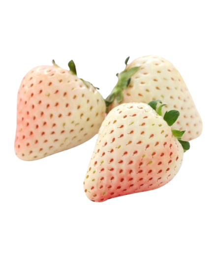 FRESA OJO BLANCA X KG