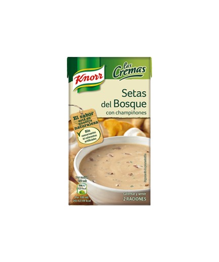 CREMA KNORR SETAS DEL BOSQUE BRICK 500 ML