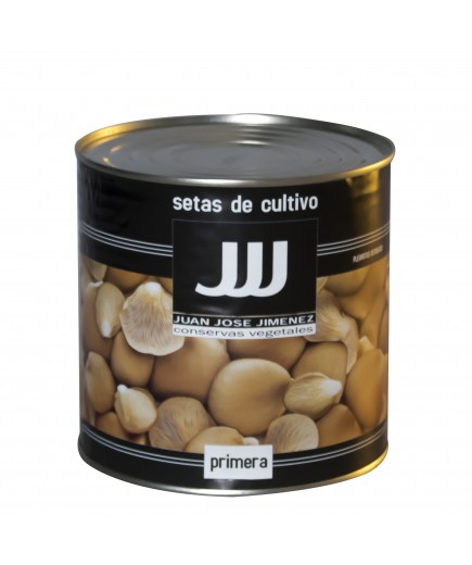 SETA CARDO NATURAL "CULTIVO" J.J.J. LATA 2,500 KG.