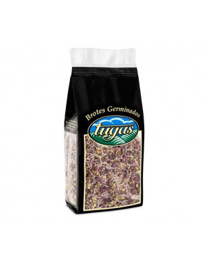 BROTES DE LOMBARDA TUGAS B/80 GR