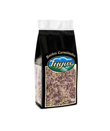 BROTES DE LOMBARDA TUGAS B/80 GR