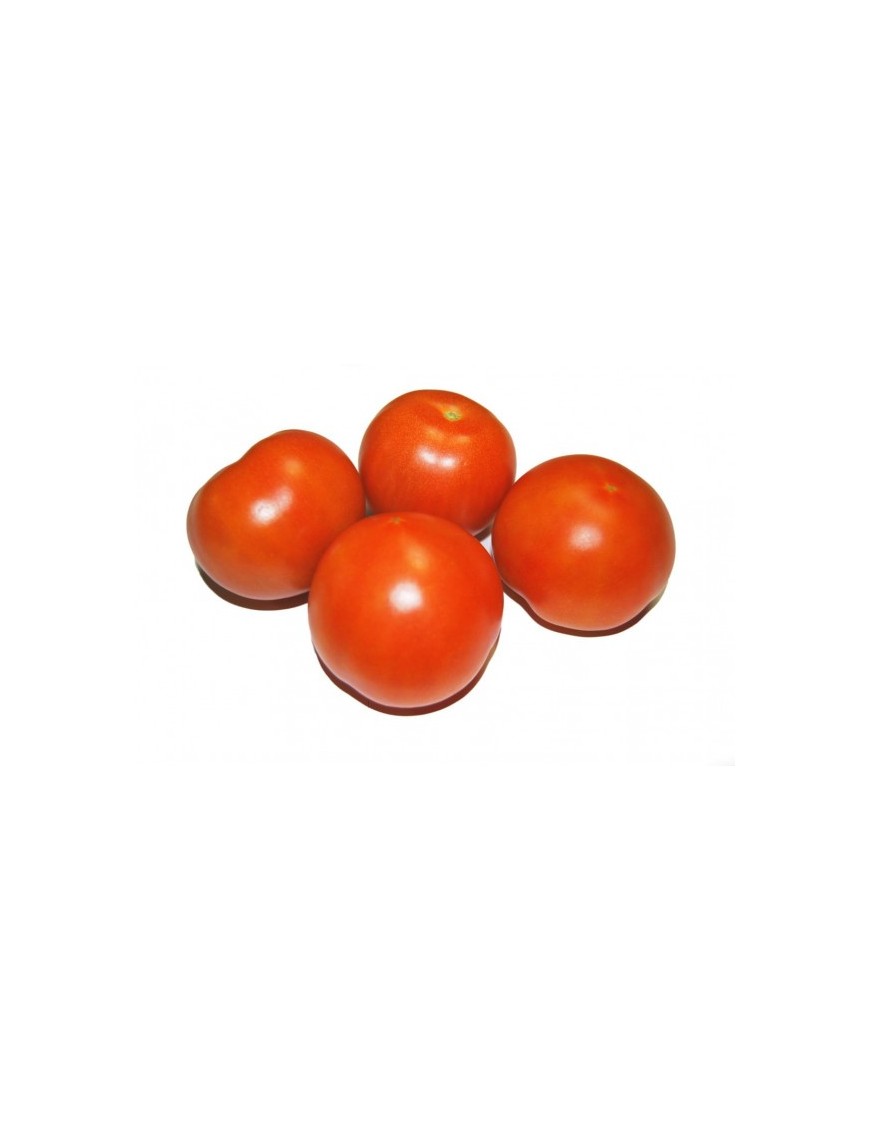 TOMATE BOLA X KG