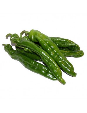 PIMIENTO VERDE ITALIANO X KG