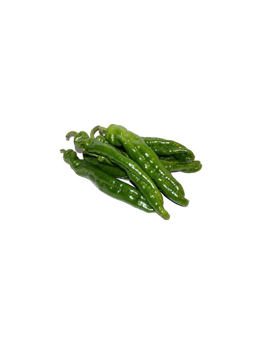 PIMIENTO VERDE ITALIANO X KG