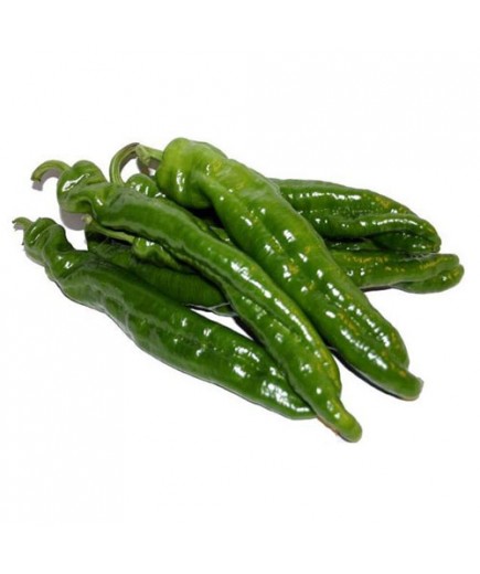PIMIENTO VERDE ITALIANO X KG
