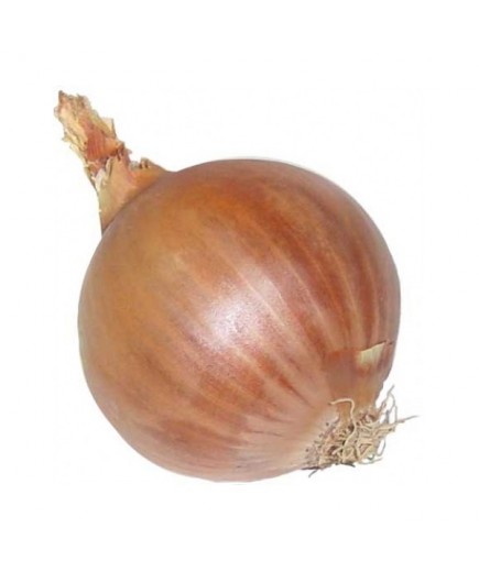CEBOLLA BOLSA/ 4 UD