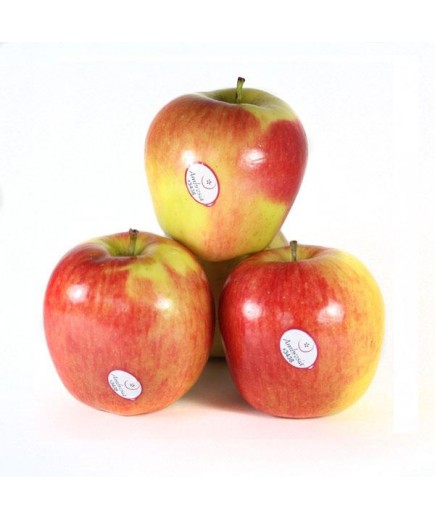 FRUTA MANZANA AMBROSIA x kg