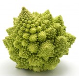 ROMANESCO PIEZA