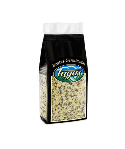 BROTES DE AJO B/80 GR