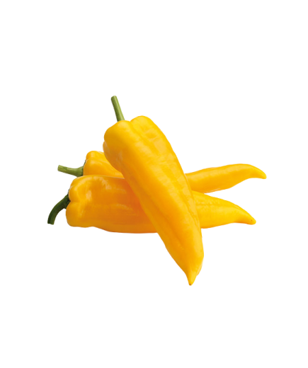 PIMIENTO AMARILLO ITALIANO X KG