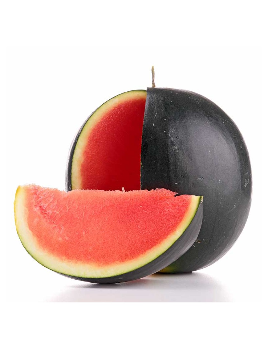 SANDIA NEGRA FASHION X KG