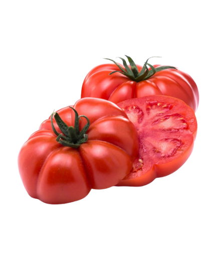 TOMATE REBELION X KG